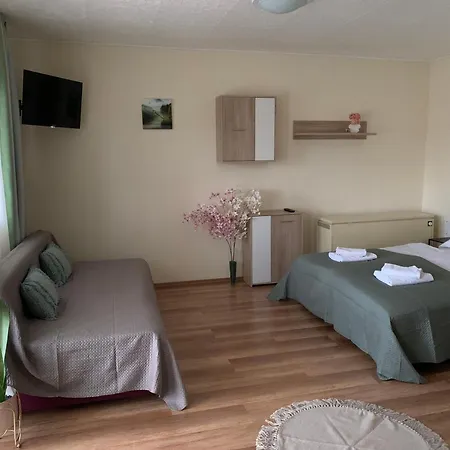 Apartment Fanni