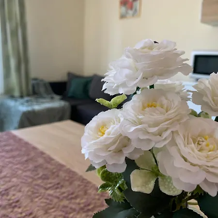 Fanni Apartment Tiszakecske
