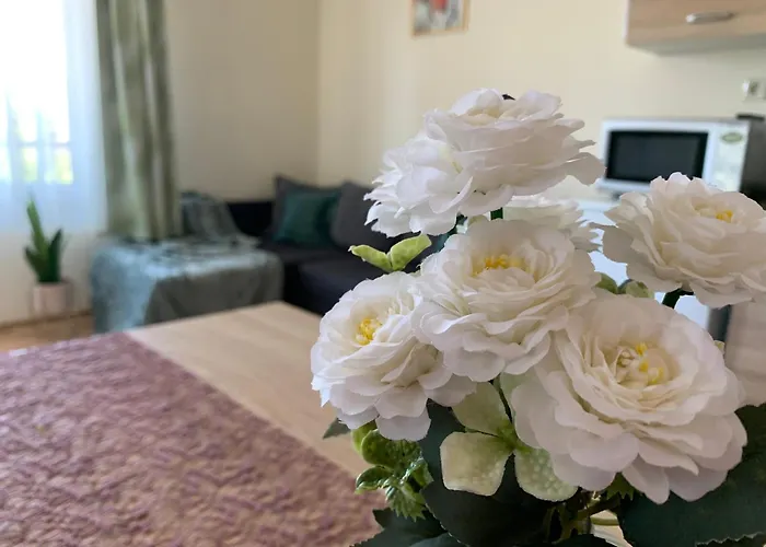 Fanni Apartament Tiszakécske
